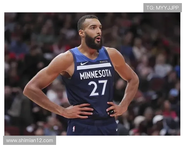 2015年森林狼对阵勇士的经典对决回顾与分析 2015年森林狼对阵勇士的经典对决回顾与分析