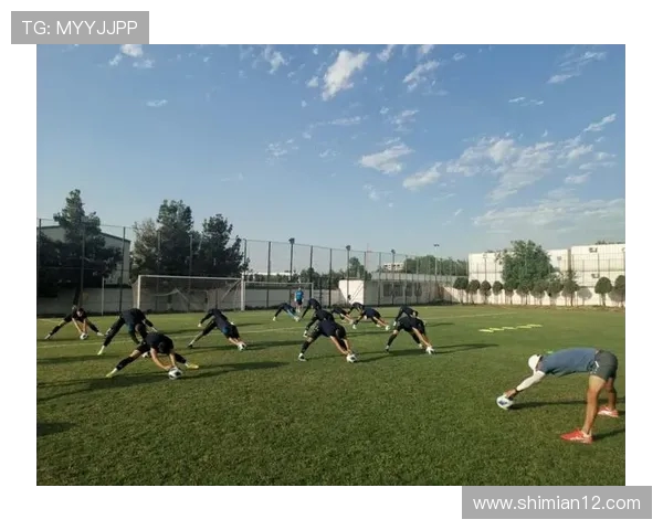 金泽队与太阳神队的精彩对决揭示了足球的魅力与激情