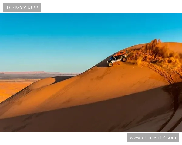 成都极限运动队的中路突破与挑战探索深度解析